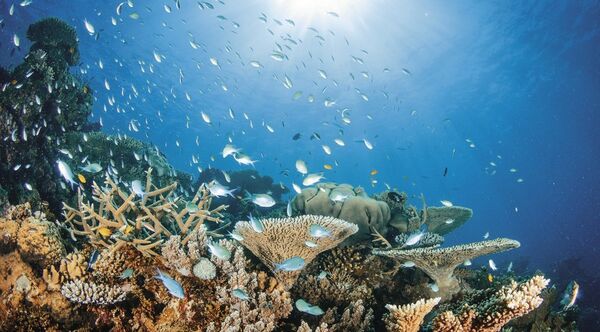 Great Barrier Reef