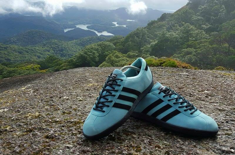 Cairns sneaker fan featured in coffee table book - TropicNow