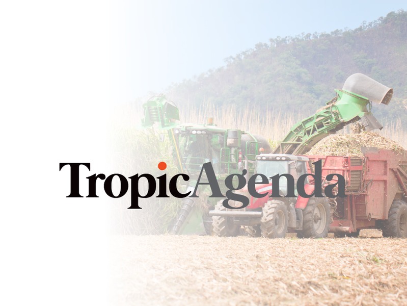 TropicNow Cairns news briefing April 26 2017 - TropicNow