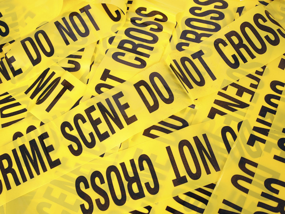 Cairns cops put the collar on property crime sprees - TropicNow