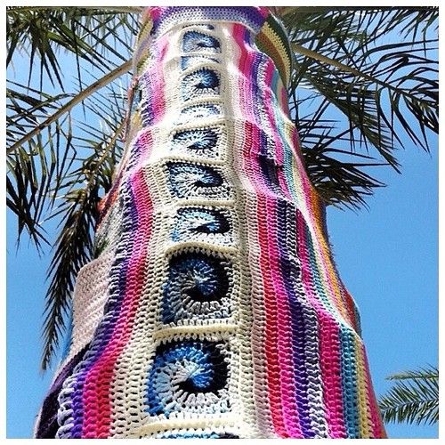 11 ways you know it's winter in Cairns - TropicNow