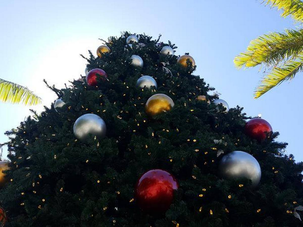 Christmas kicks off in Cairns with lighting of lagoonside tree.