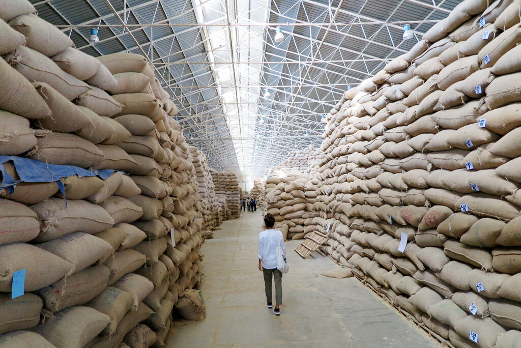 A warehouse with two rows of stacks of coffee bags piled up to the ceiling, with a person walking though the middle