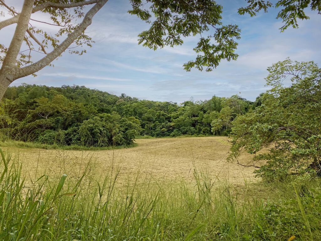 Freshwater Pocket land available to buyers