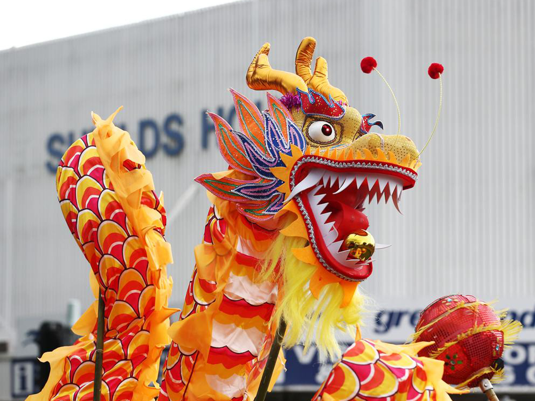 Chinese dragon costume