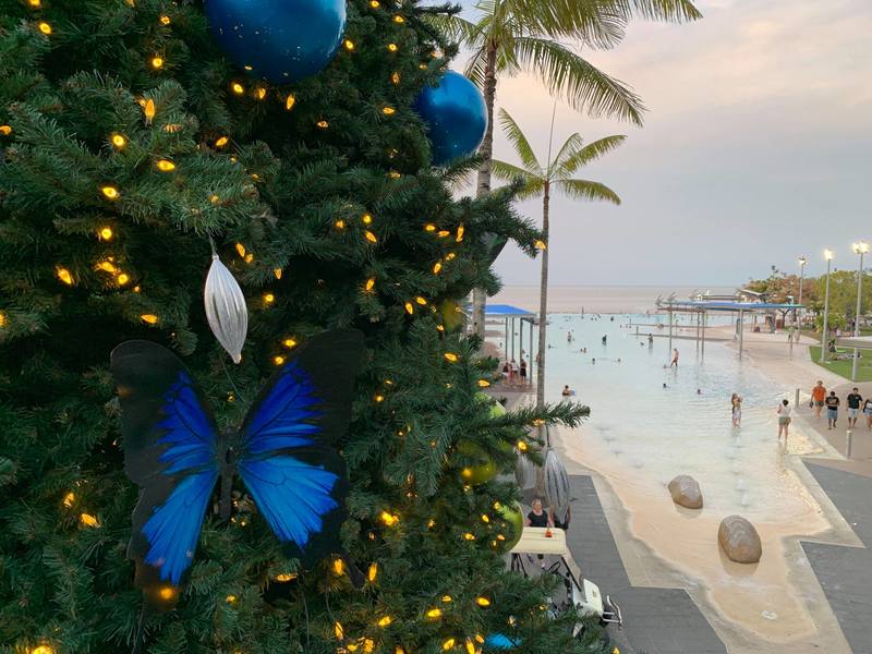 Tropic Weekender The best events and things to do in Cairns