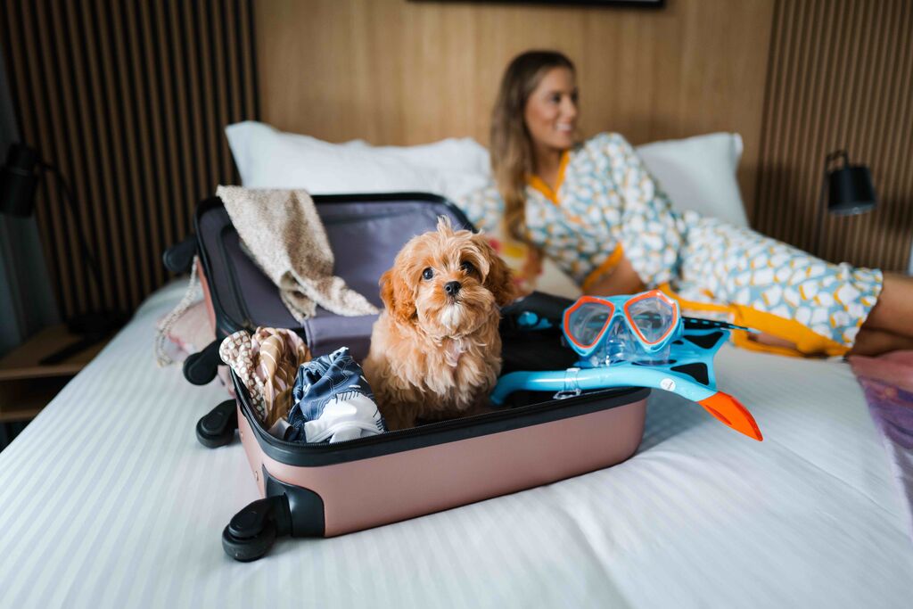 Cairns luxury hotel to canine companions in new dogfriendly