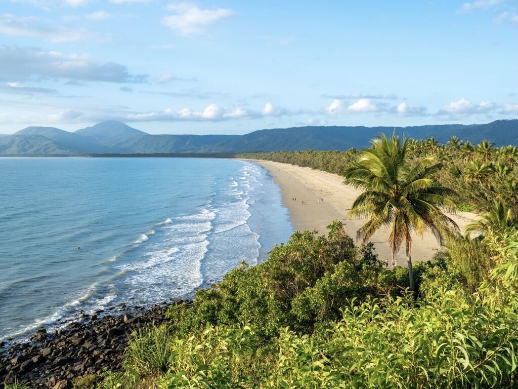 Lanscape shot of the beach with palm trees and rainforest on the shore